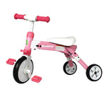 RiiRoo 2 in 1 Kids Tricycles Toddler Bike Trike 3 Wheels Folding 2 - 4 Years Old